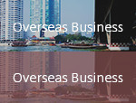 Oversea Project